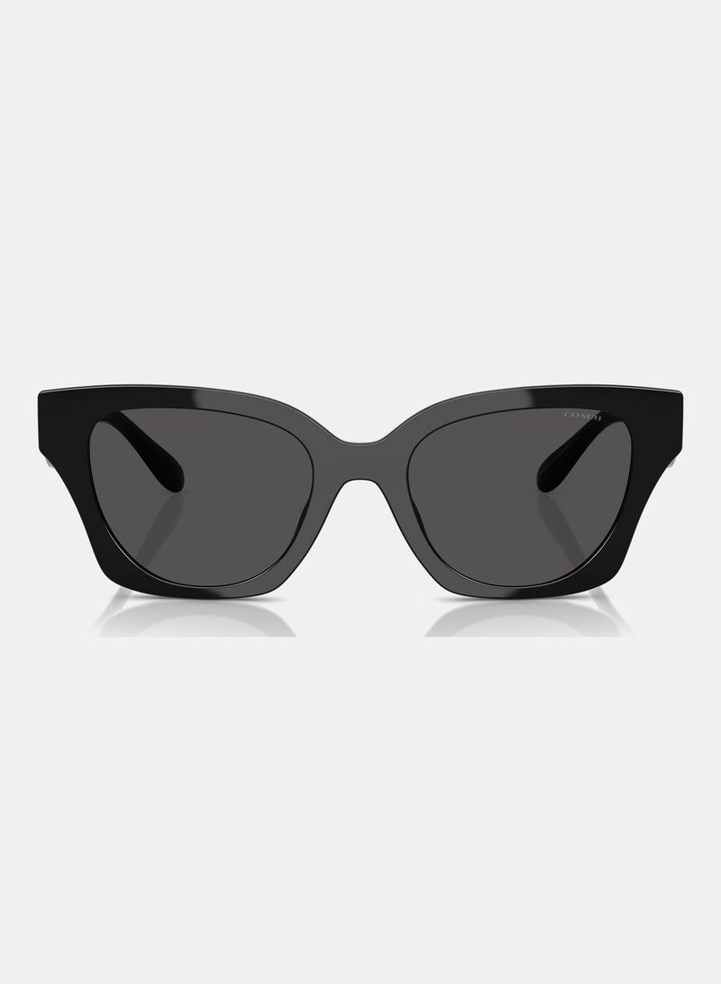 كوتش نظارة شمسية فراشة كاملة الحواف 8418U 500287 - Image 5